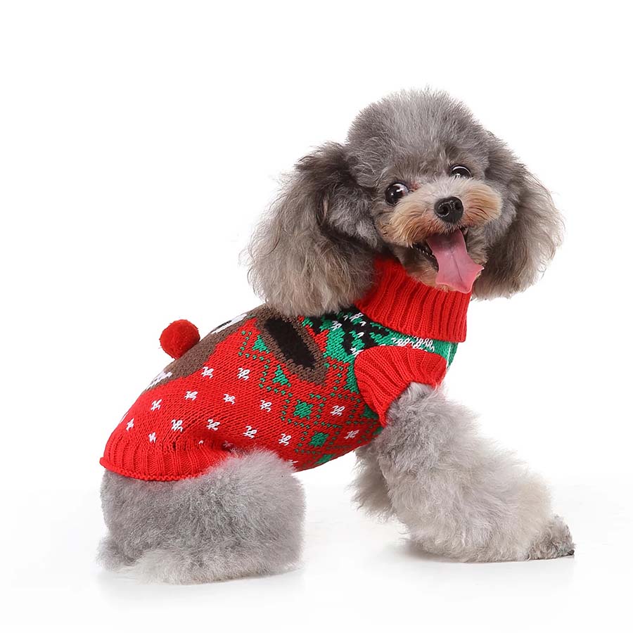 Poodle christmas outlet jumper