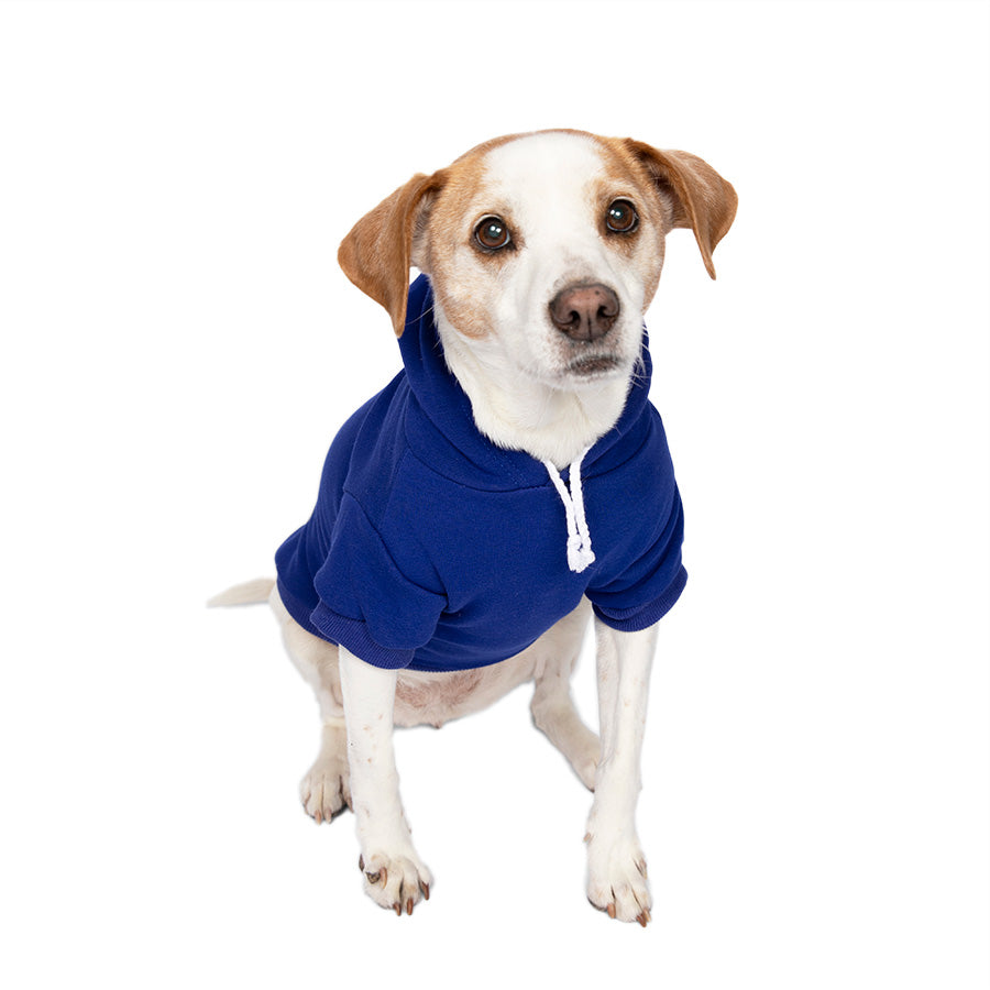 Printed Dog Hoodies to Keep Your Pup Cozy & Chic.