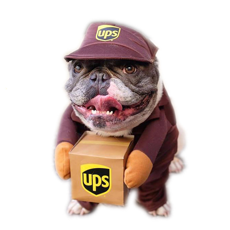 Why is the UPS Dog Costume so Popular?