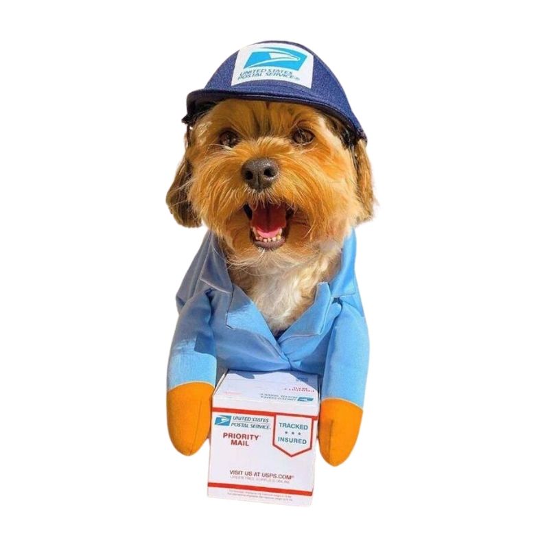 The Ultimate Guide to Shopping for Small Dog Costumes