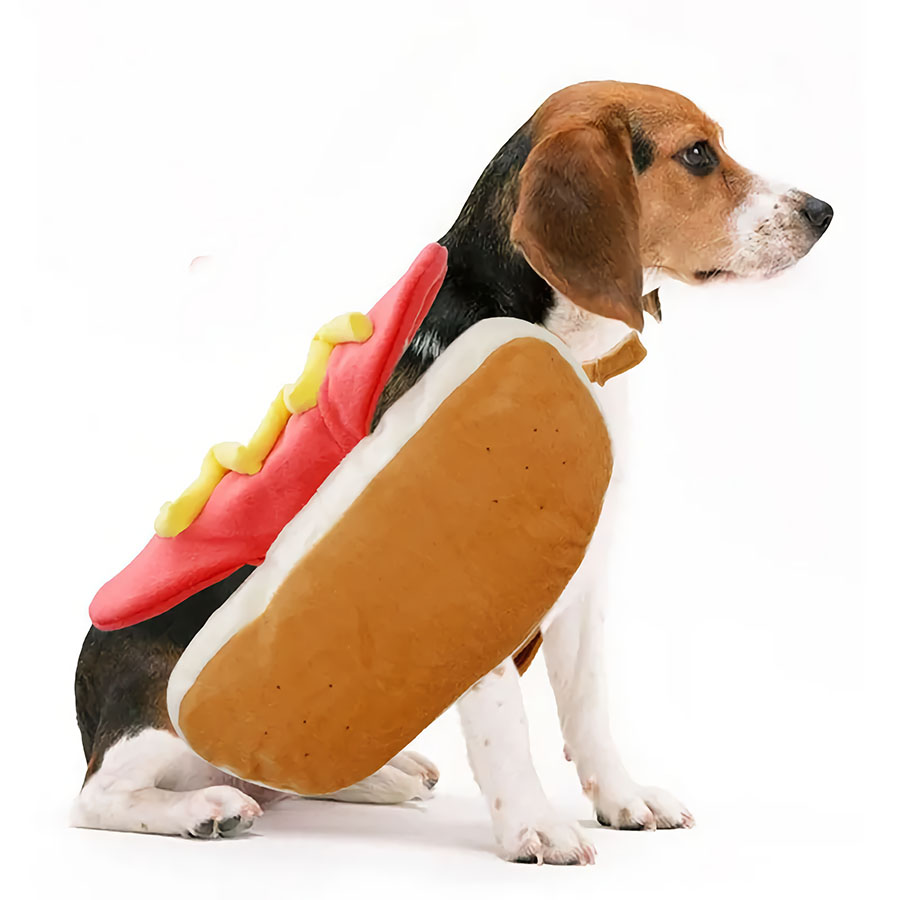 Why is the Hot Dog Costume Perfect for Halloween?