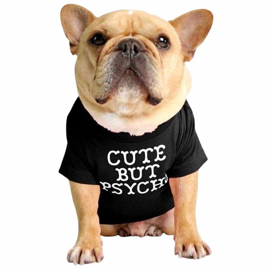 Dressing Up Your Pup Shop Puppy Outfits and Apparel