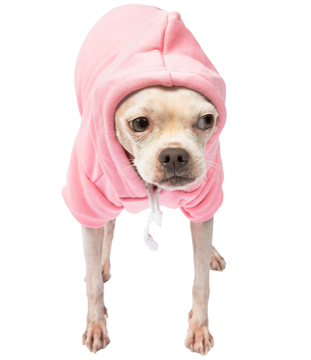 The Ultimate Guide to Dog Hoodies: Keep Your Pup Warm and Stylish All Winter Long