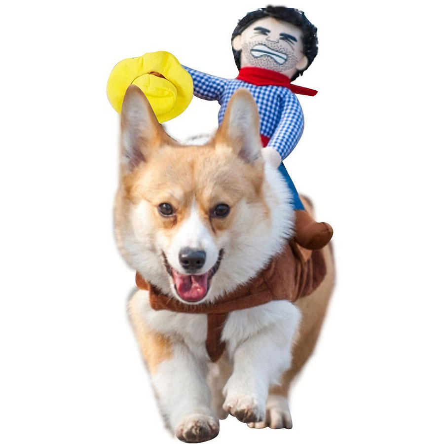 Tips for Buying a Small Dog Costume