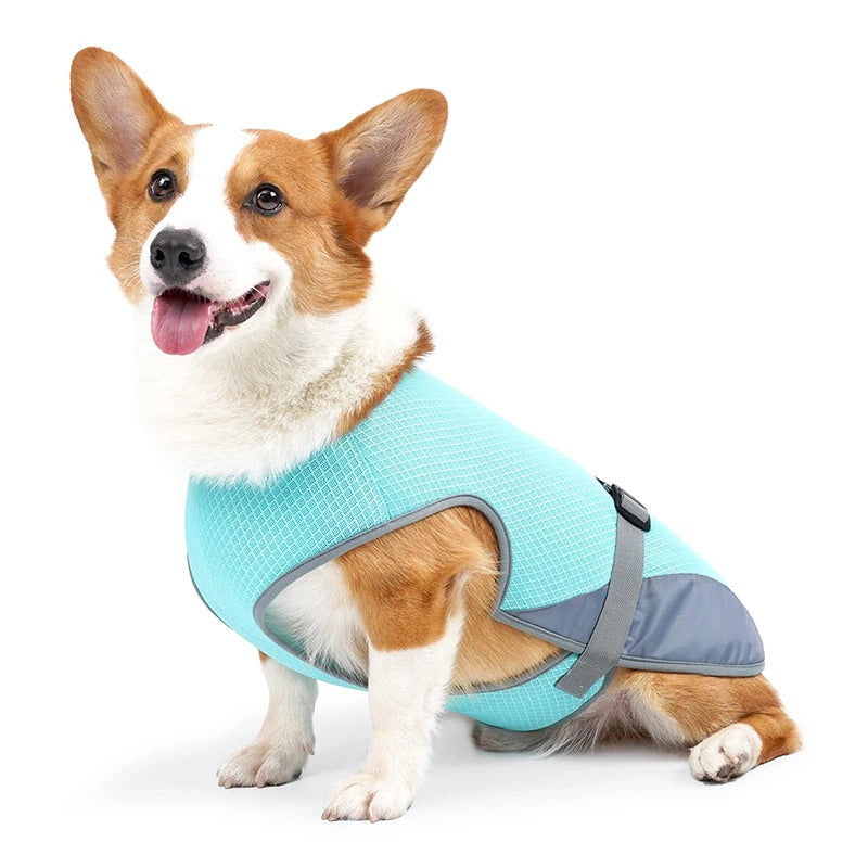 The Case for Buying in a Dog Cooling Vest.