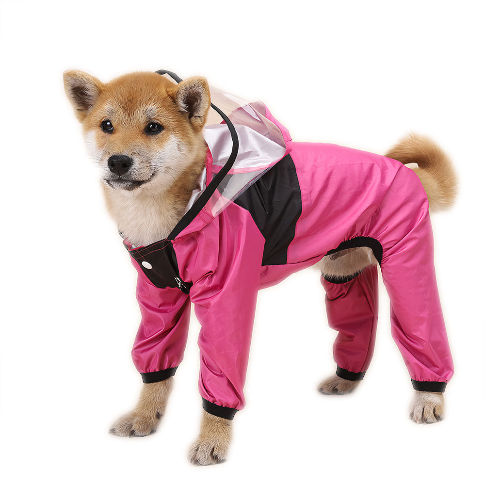 Tips for Buying a Rain Jacket for Your Dog.