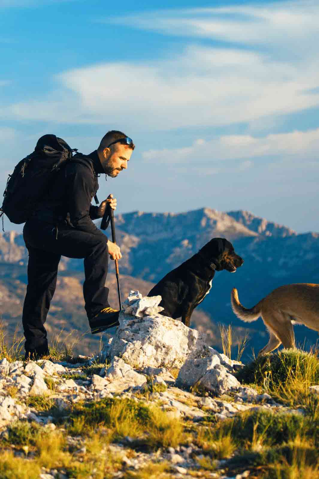 Backpacking, hiking, swimming and all the fun activities and things to do with your dog this Father's Day.