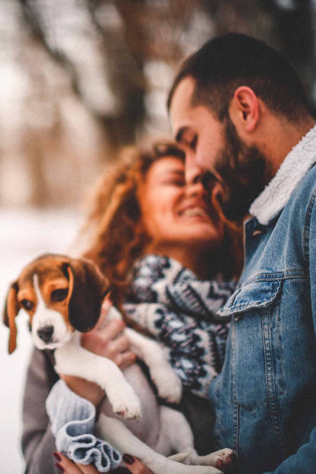 Beautiful young couple holding Beagle Puppy and celebrating the New Year.