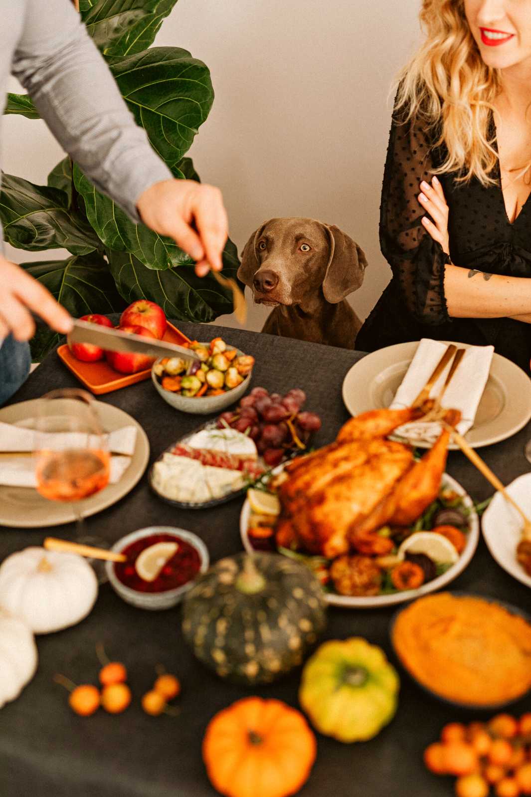 Family with their dog sitting down at the Thanksgiving dinner table.