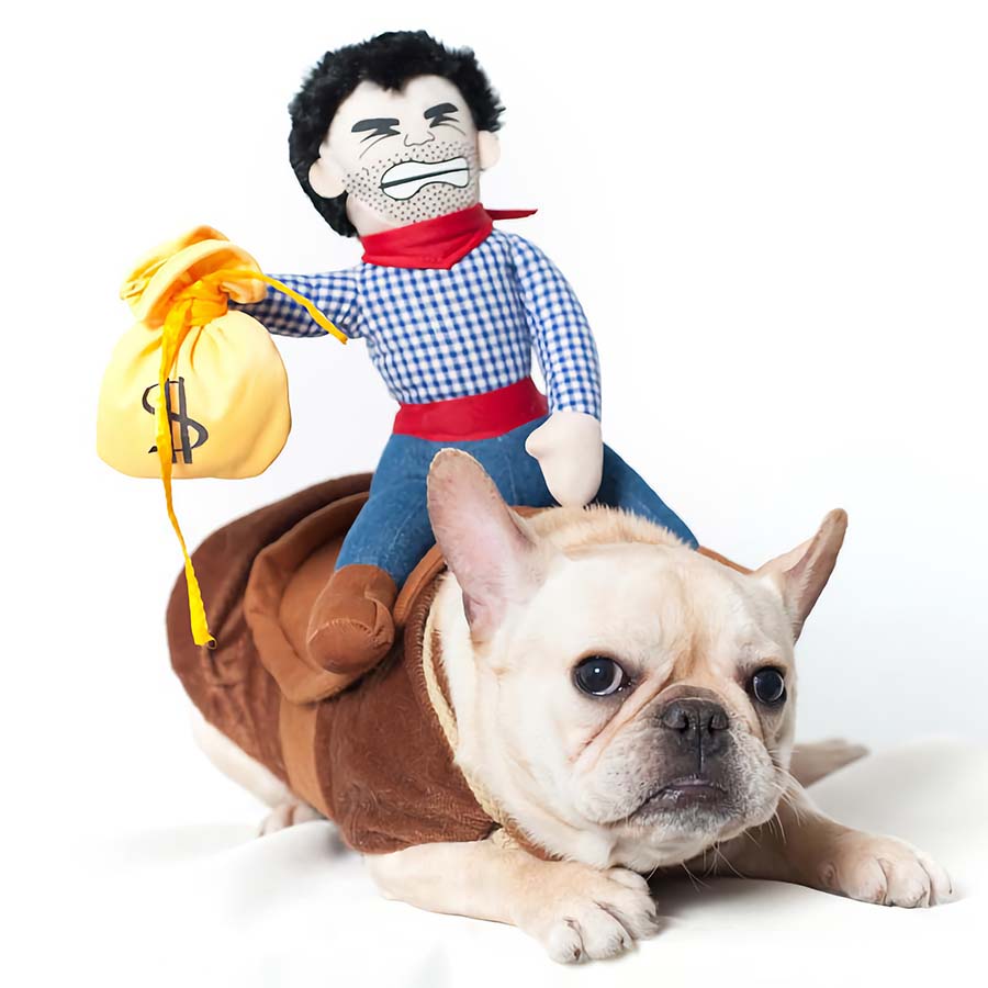 Tips on Finding a Small Dog Costume
