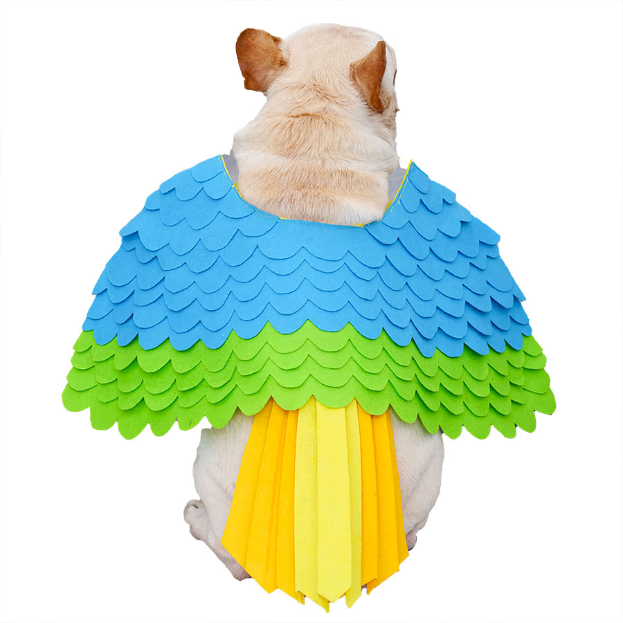Can Dog Costumes Change Your Dog's Demeanor and Style?