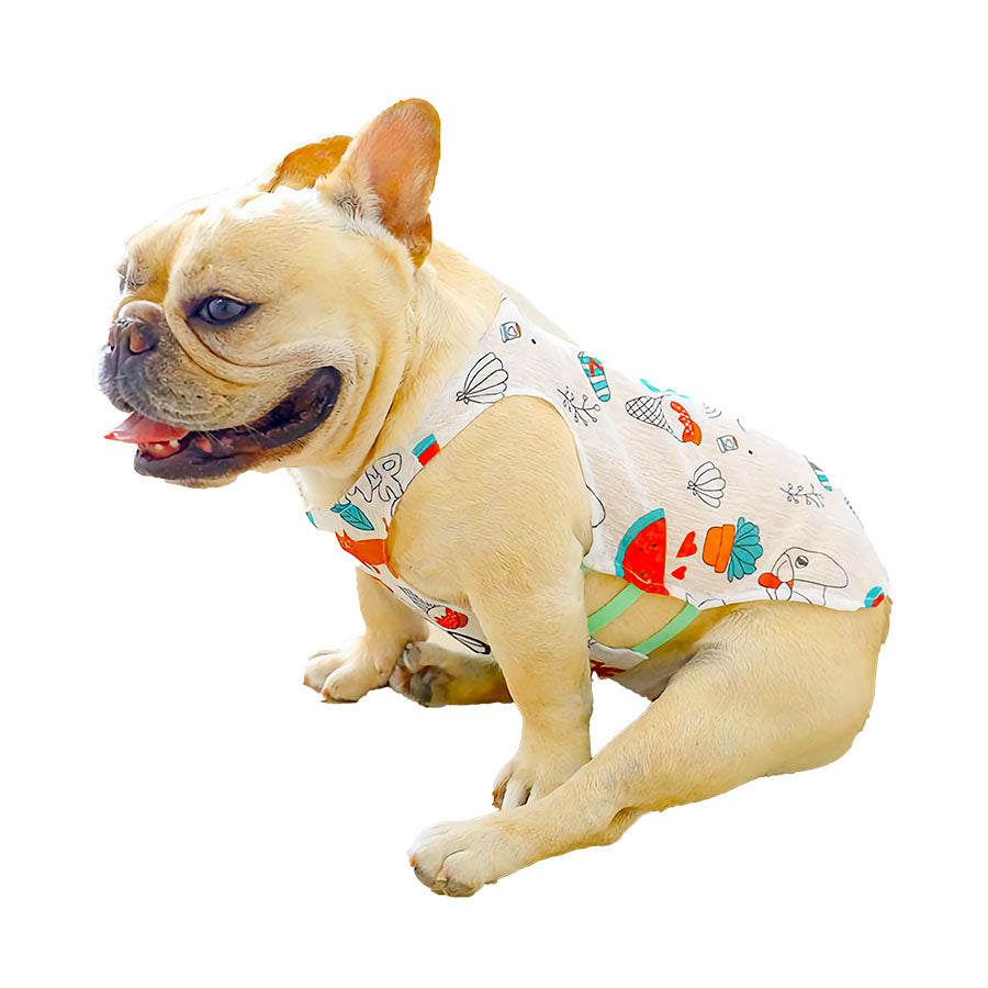 Summer Dog Clothes Tips. Keep Your Pup Stylish and Comfortable.