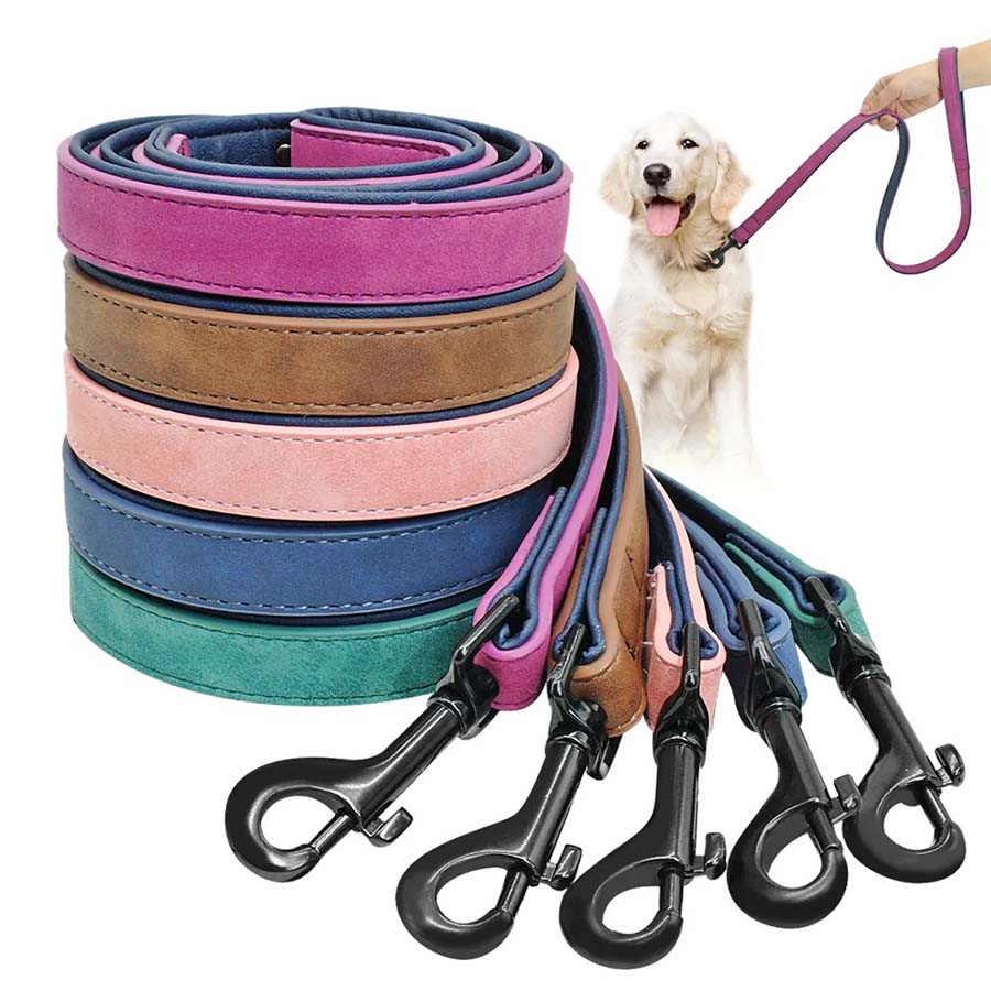 The Ultimate Guide to Dog Collars and Leash Sets.