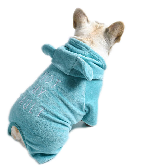 Adorable French Bulldog wearing 'Not My Fault' Cotton Dog Jammies from online dog clothing store they made me wear it.