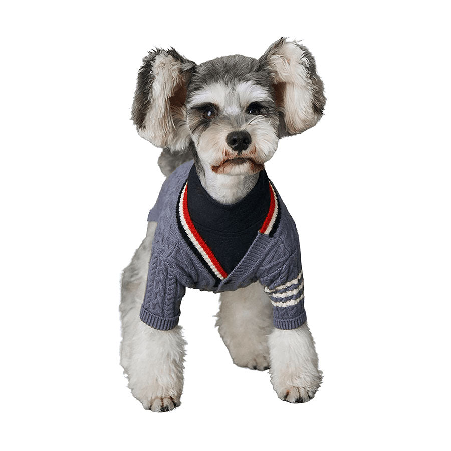 How to Find the Perfect Dog Clothing for Your Furry Friend
