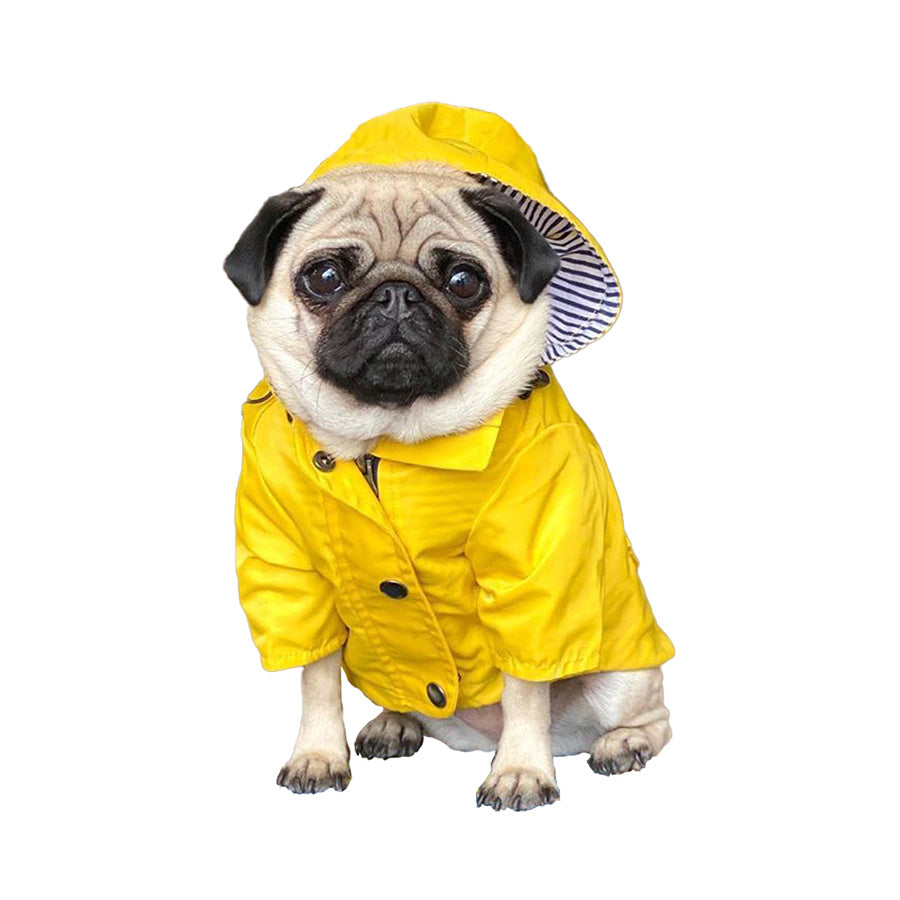 Consider Embracing the Paw-sitivity of Yellow Dog Raincoats.