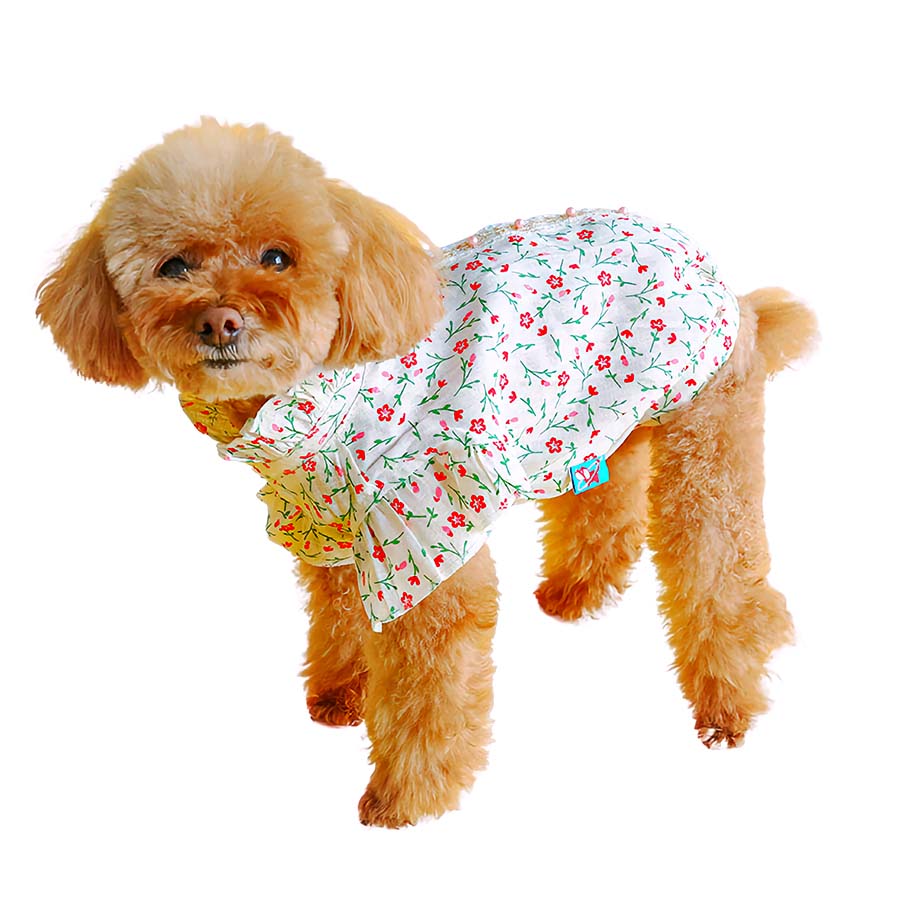 Picking the Perfect Dog Clothing: Essential Tips for Shopping