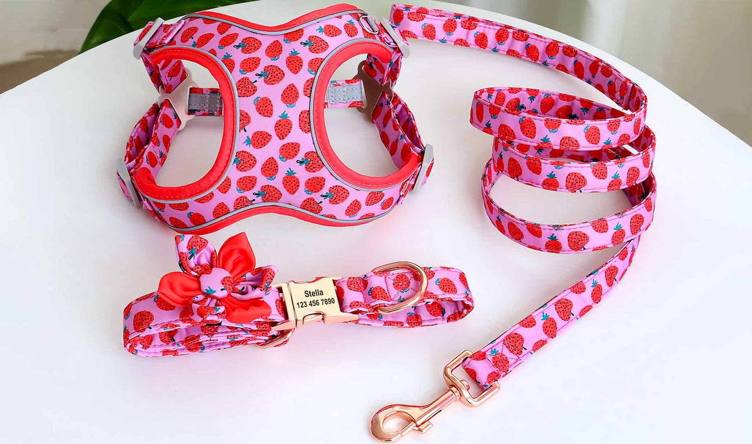 Strawberry Delight Personalized Yummy Dog Harness Collar & Leash Set from online dog clothing store they made me wear it.