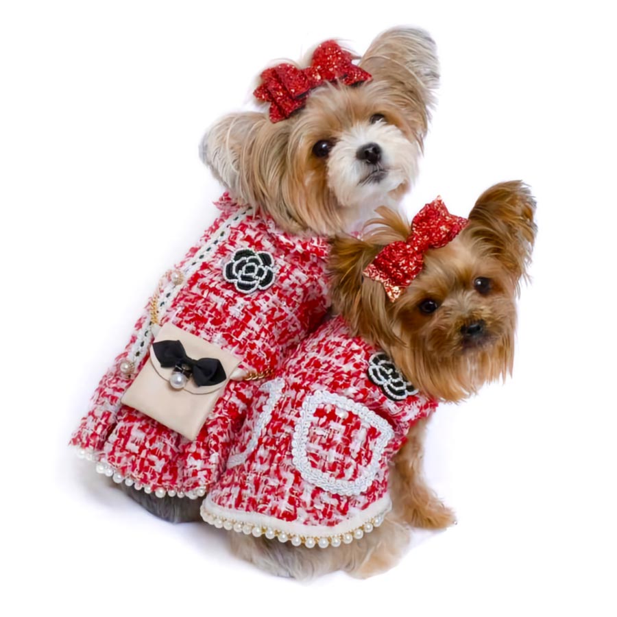 Instagram Dog Models, 3colorfulyorkiees, wearing the Camellia Tweed Red Dog Dress from online posh puppy boutique they made me wear it.