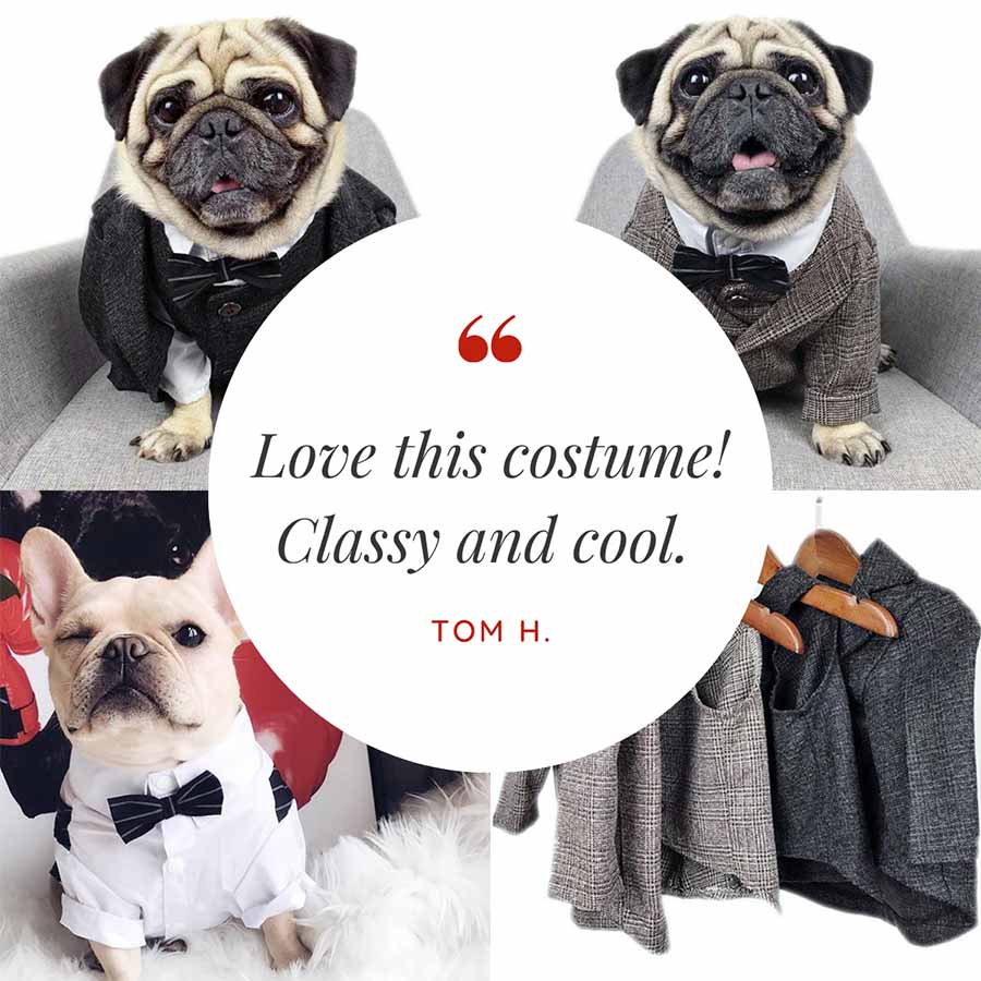 Customer Quote: Love this costume! Classy and cool. Written by Tom H. 3-Piece Suit for Dogs from online dog clothing store they made me wear it.