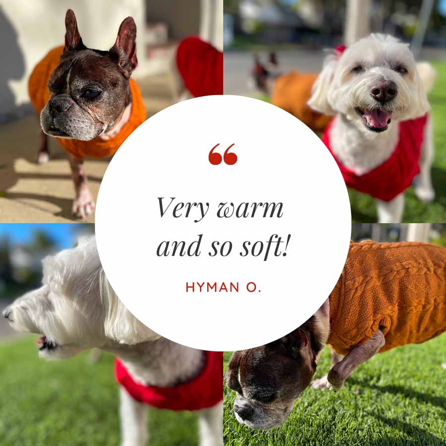Customer Quote: Very warm and soft! Written by Hyman O.  Button Me Up Dog Sweater from online dog clothing store they made me wear it.