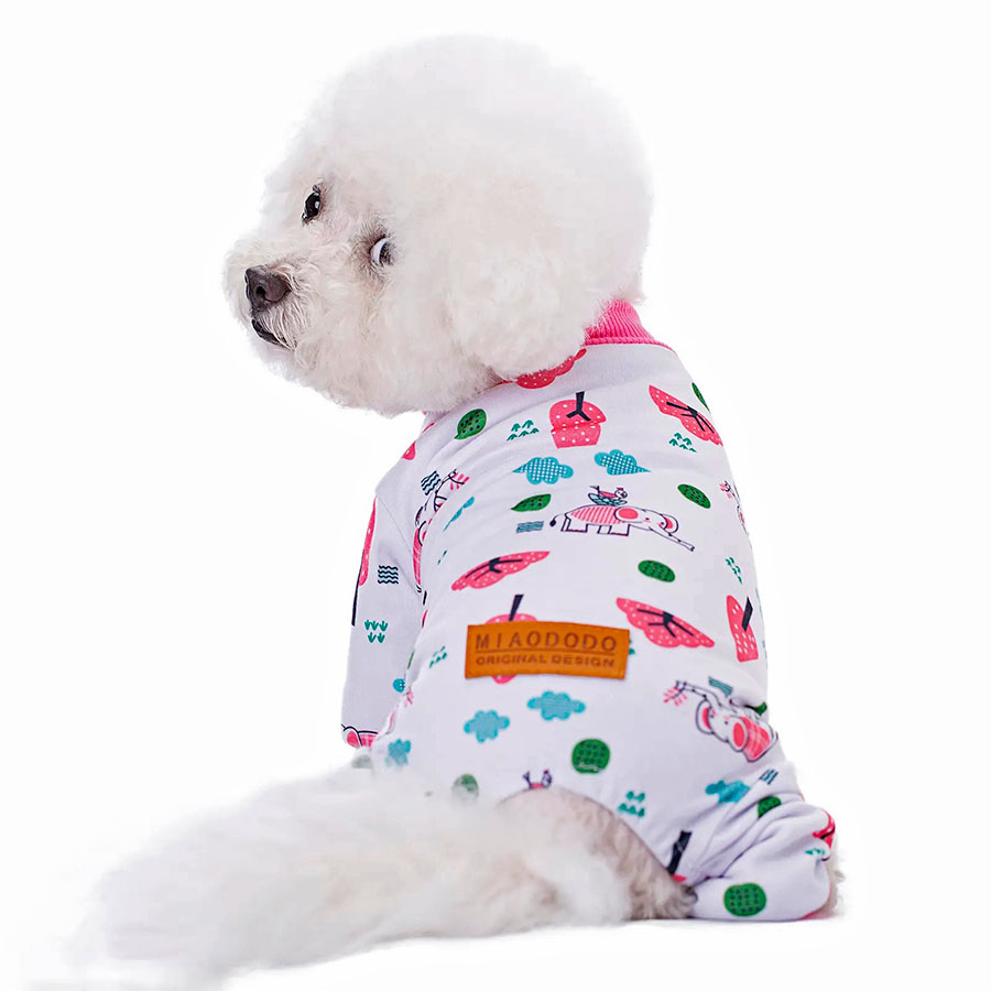 Bichon Frise sitting down showing off the backside of the Elephant Doggy Onesie from online dog clothing store they made me wear it.