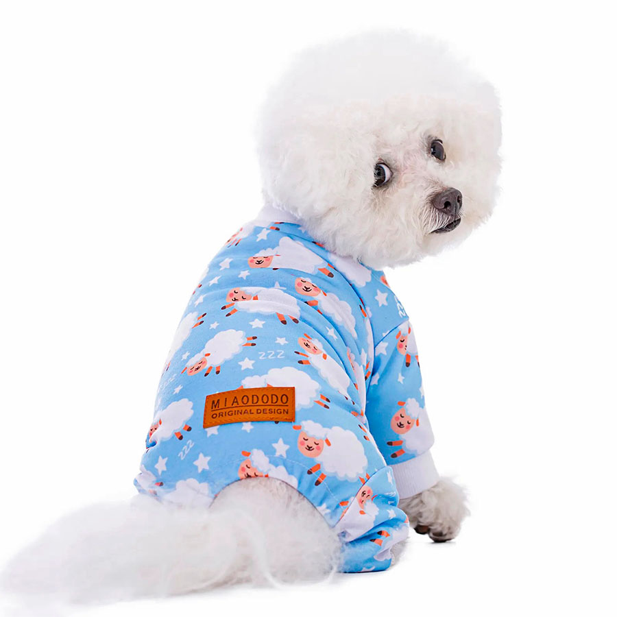 Bichon Frise sitting down showing off the backside of the Lamb Doggy Onesies from online dog clothing store they made me wear it.