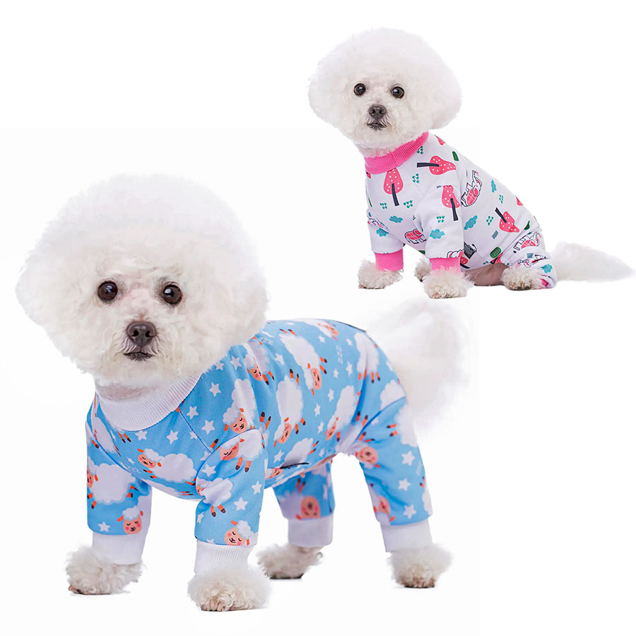 Bichon Frise standing up and sitting down wearing an Elephant and Lamb Doggy Onesies from online dog clothing store they made me wear it.