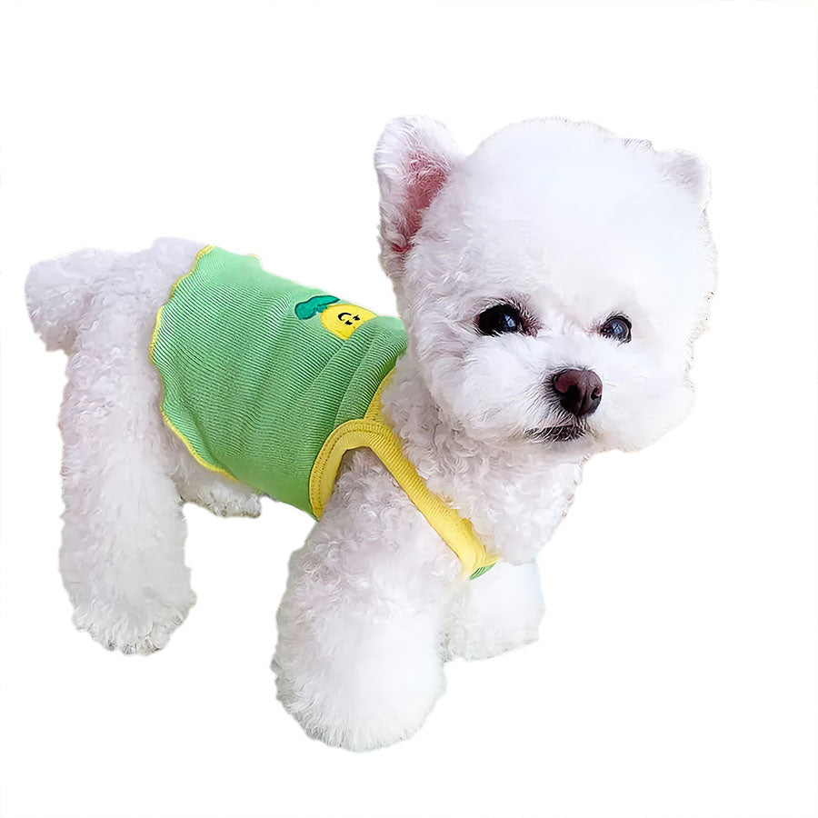 Bichon Frise wearing Tulip Camisole for Dogs in Green from online dog clothing store they made me wear it.