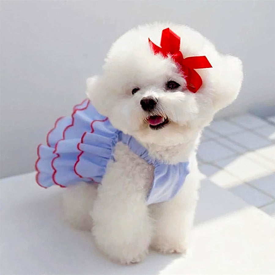 Clothes for bichon frise hot sale dogs