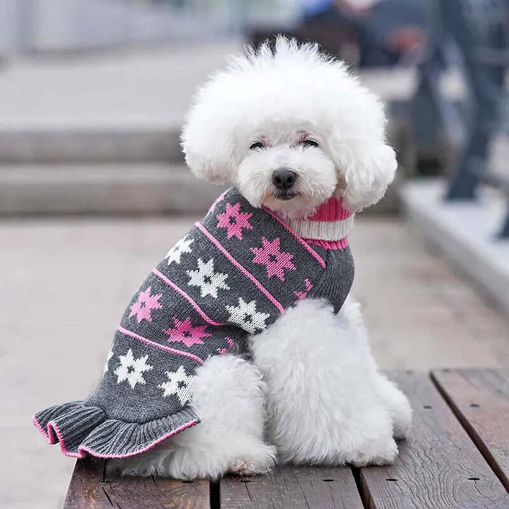 Bichon sitting down on a pier and wearing the adorable Snowflake Sweater Dog Dress in Heather Gray from online dog clothing store they made me wear it.