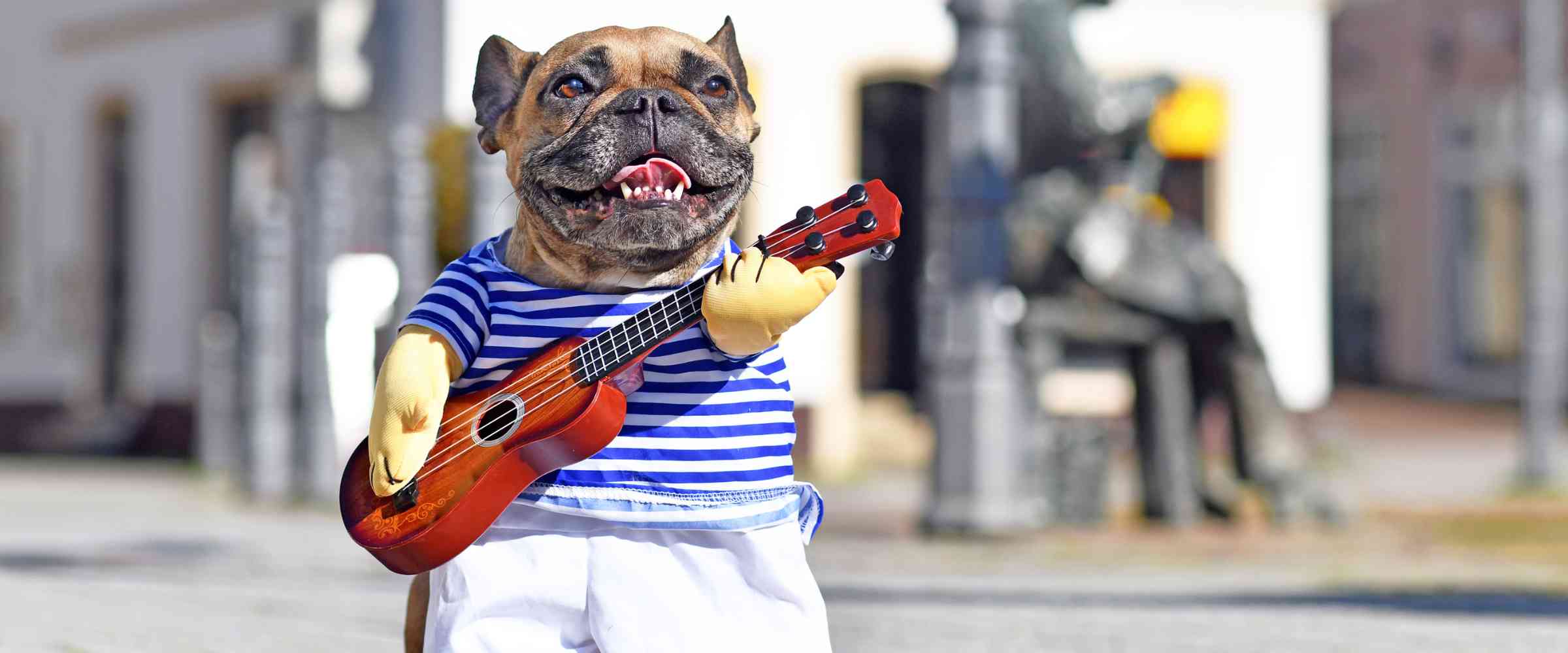 French Bulldog wearing the iconic Guitarist Dog Costume.