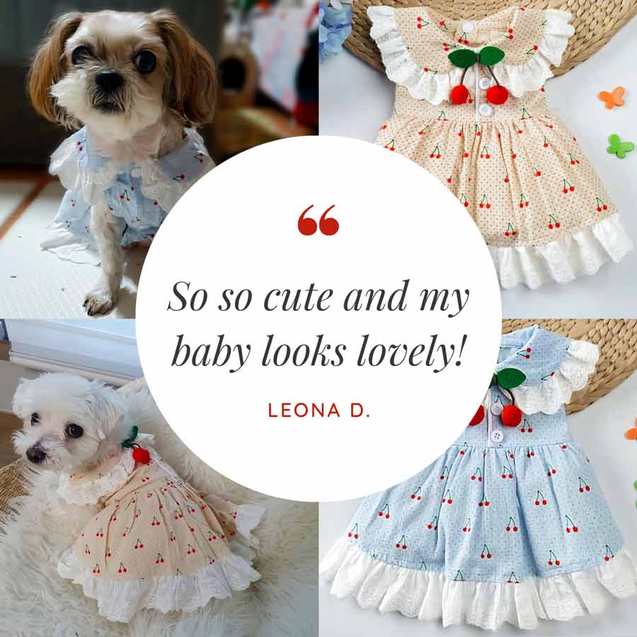 Customer Quote: So so cute and my baby looks lovely! Written by Leona D. Cherry Print Dog Dress from online posh puppy boutique they made me wear it.
