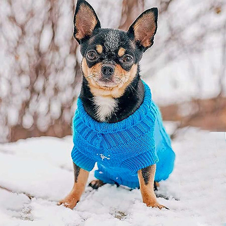 Chihuahua sitting down in the snow, sporting the Classic Dog Turtleneck in Carolina Blue from online dog clothing store they made me wear it.