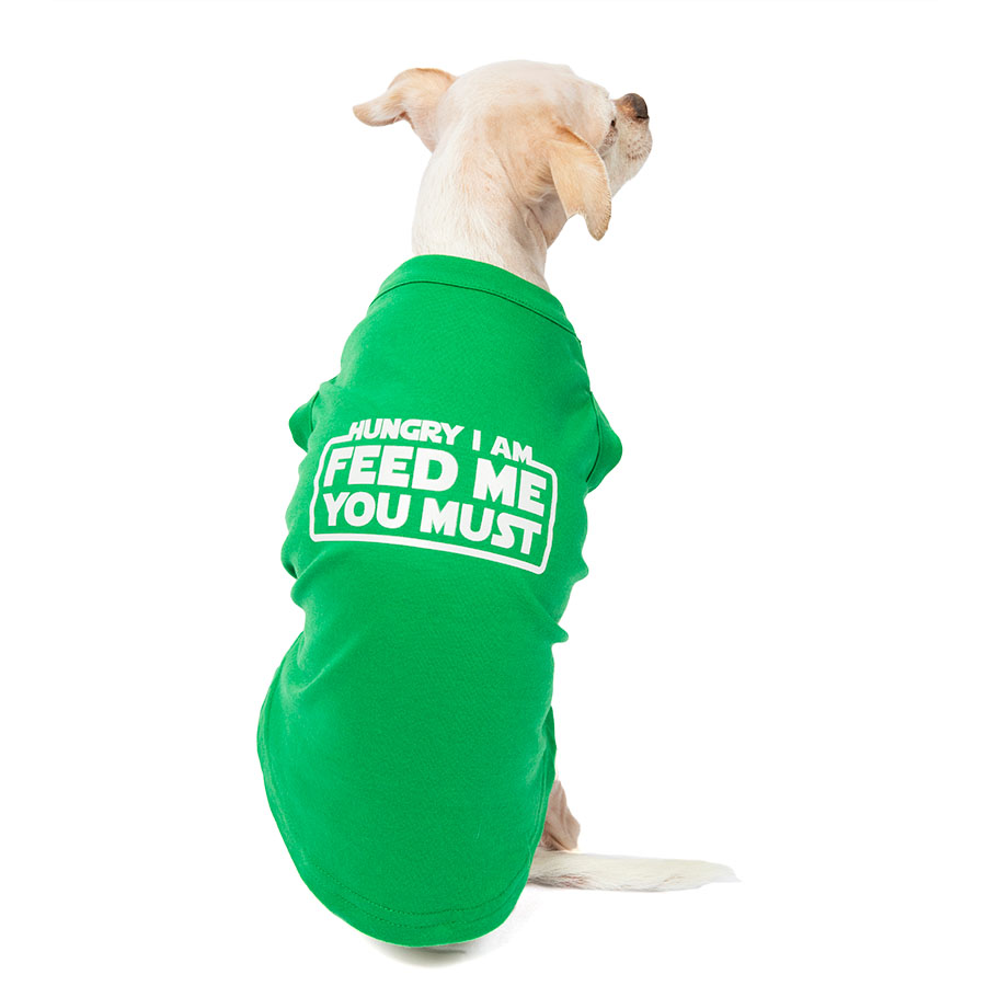 Chihuahua sitting down and showing off the back of the awesome Hungry I Am Feed Me You Must Emerald Dog Tee inspired by Yoda from Star Wars from online dog clothing store they made me wear it.