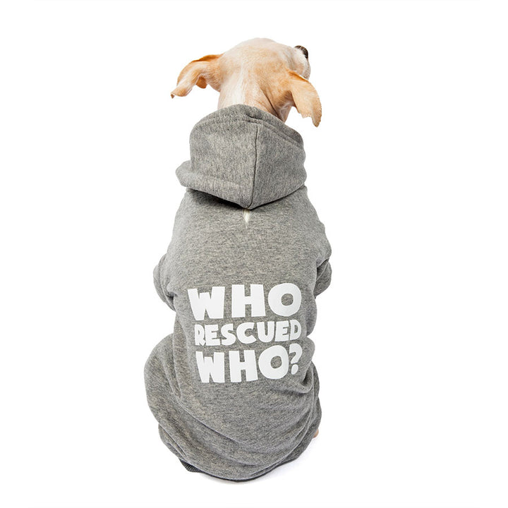 Chihuahua sitting down and showing off the back of the adorable Who Rescued Who Heather Gray Dog Hoodie from online dog clothing store they made me wear it.