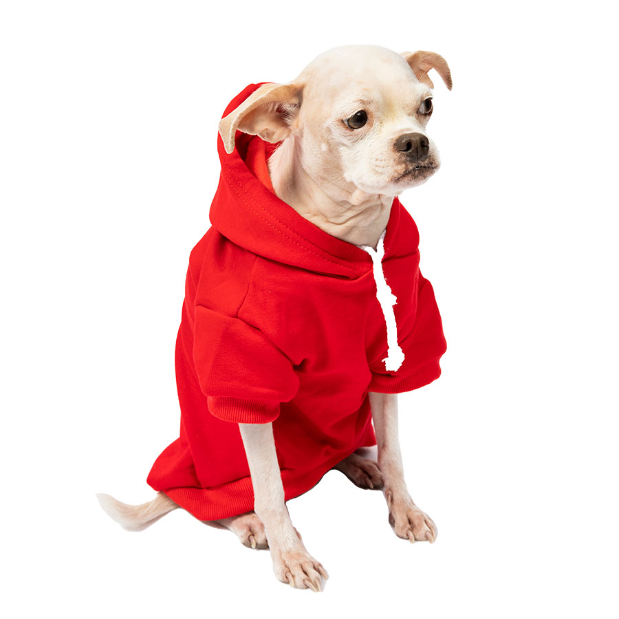 Chihuahua sitting down and wearing the adorable The Snuggle is Real Carmine Dog Hoodie from online dog clothing store they made me wear it. The Perfect Valentine’s Day outfit for your dog.