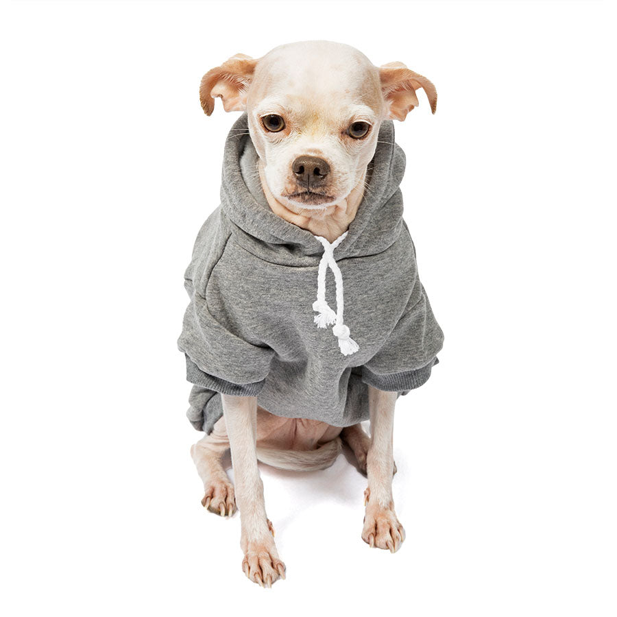 Chihuahua sitting down and wearing the adorable Who Rescued Who Heather Gray Dog Hoodie from online dog clothing store they made me wear it.