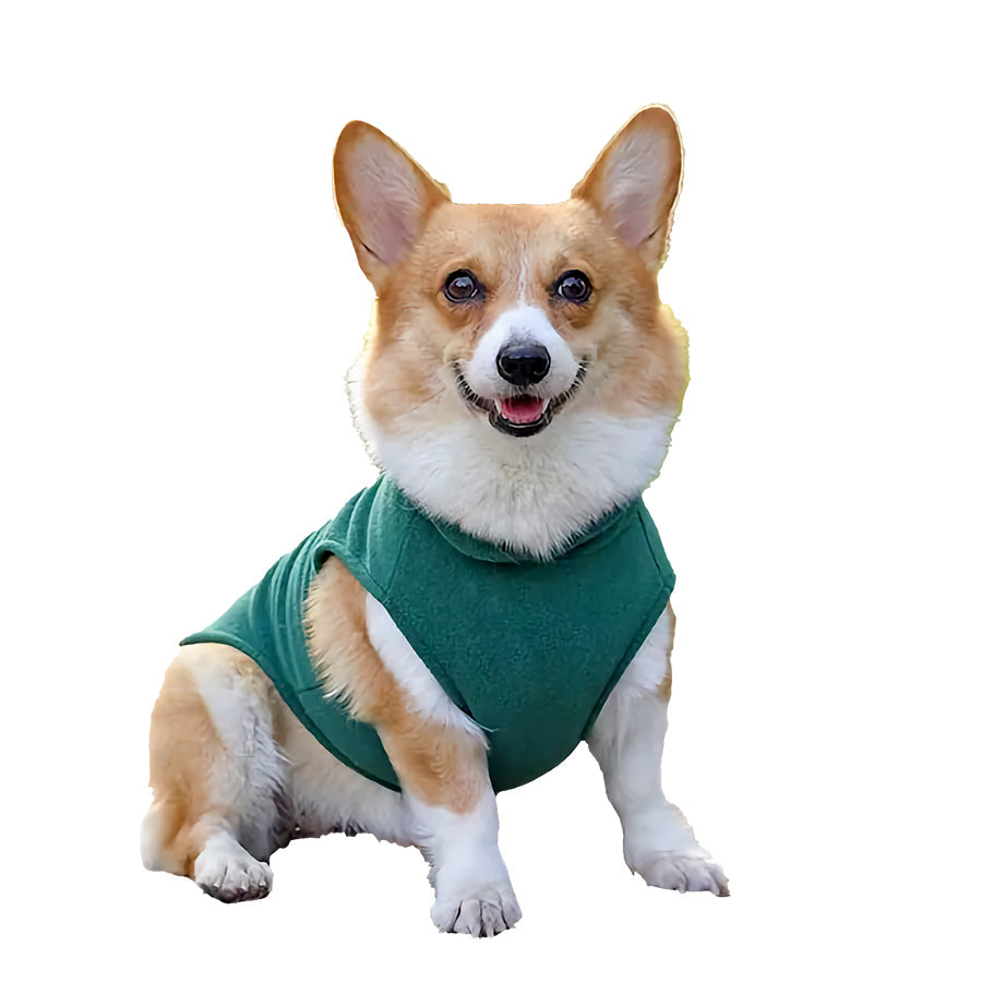 Corgi sitting down near a lake, wearing the Fido Fleece Jacket in Forest Green from online dog clothing store they made me wear it.