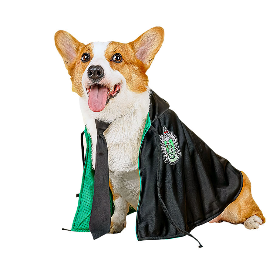 Corgi wearing the Harry Pupper Slytherhound Dog Costume - Magical Dog Cloak Ensemble for Halloween from online dog costume shop they made me wear it.