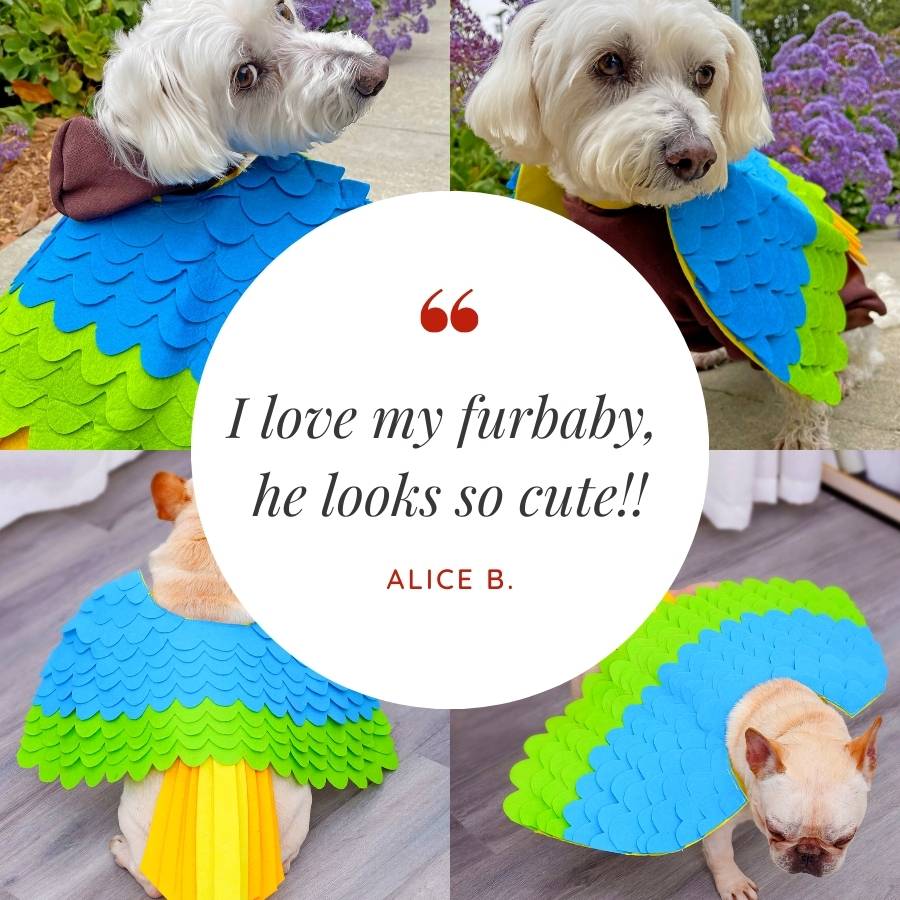 Customer Quote: I love my furbaby, he looks so cute!! Written by Alice B. Tropical Bird Dog Costume from online dog costume shop they made me wear it.