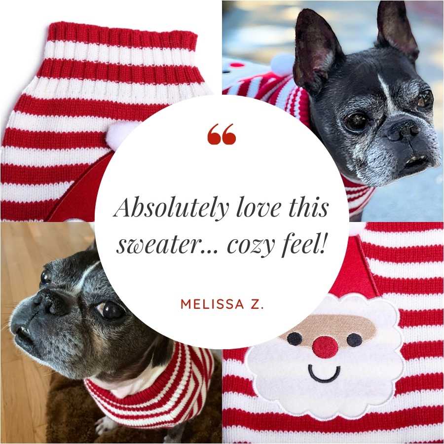 Customer Review by Melissa Z. of  the ribbed Santa Claus Turtleneck for Dogs from online dog clothing store they made me wear it.