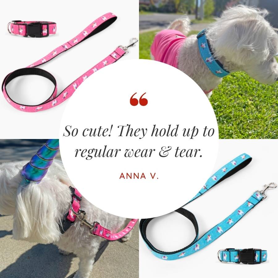 Customer quote: So cute They hold up to regular wear & tear. love the way it feels so soft and smooth. Written by Anna V. Magical Unicorn Dog Collar & Leash Set in Party Pink and Blue Rose from online dog clothing store they made me wear it.