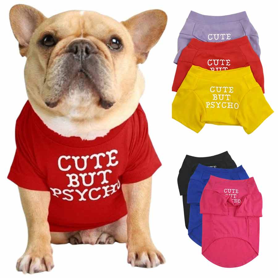 Cute dogs hot sale online shopping