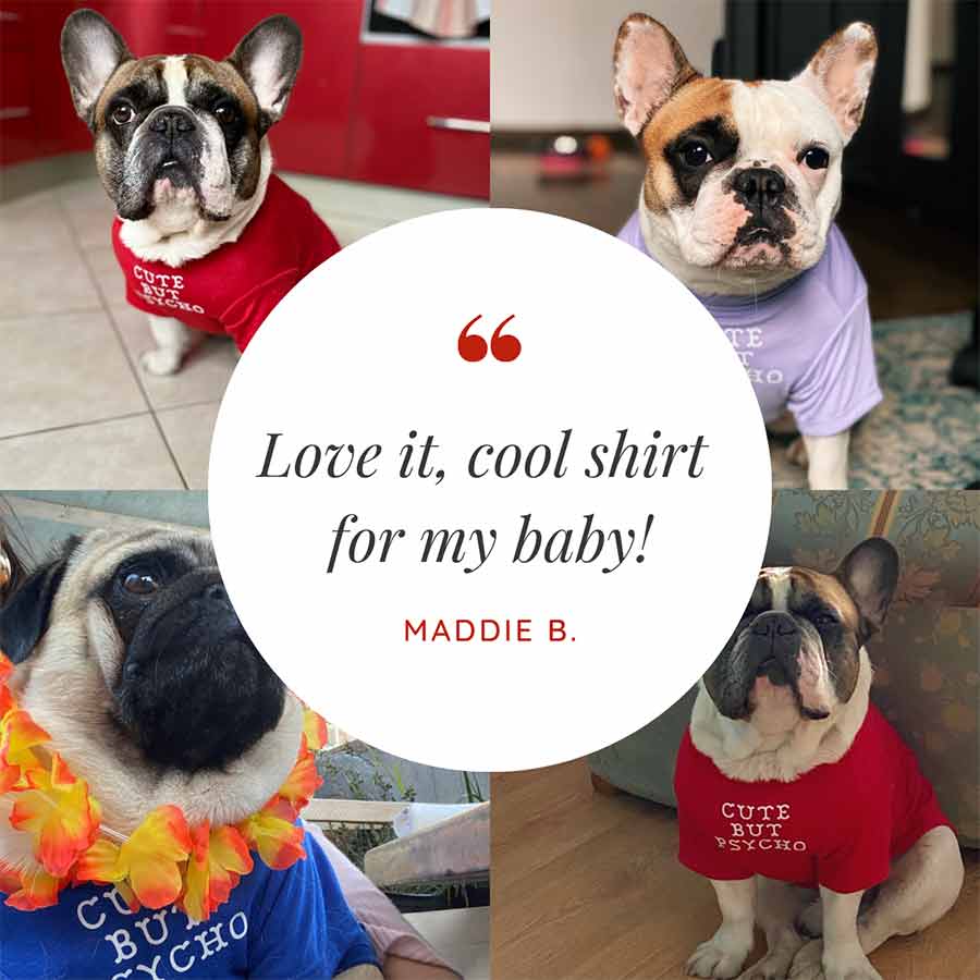 Customer Quote: Love it, cool shirt for my baby! Written by Maddie B. Cute But Psycho Dog Tee from online dog clothing store they made me wear it.
