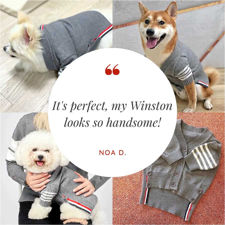 Customer Review by Noa D. for English Cotton-Knit Dog Cardigan from online dog clothing store they made me wear it.