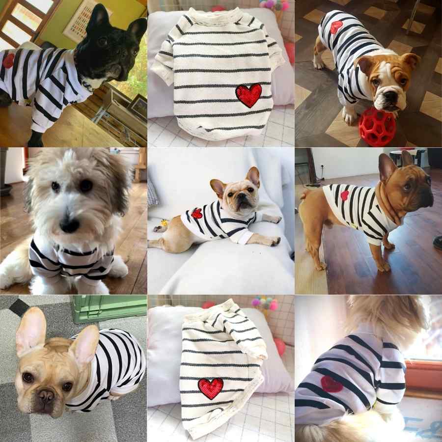 Made from 100% cotton, the Heartbeat Dog Sweater is the perfect dog sweater for Yorkshire Terriers, French Bulldogs, English Bulldogs, Bichon & Maltese and other small dog breeds & puppies from online dog clothing store they made me wear it.