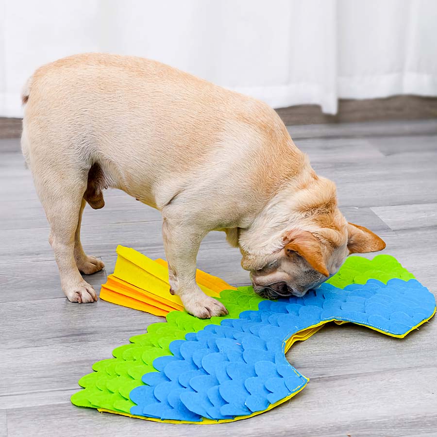French Bulldog using the Tropical Bird Dog Costume from online dog costume shop they made me wear it as a snuffle mat.
