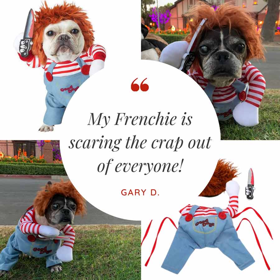 Customer Quote: My Frenchie is scaring the crap out of everyone! Written by Gary D. Chucky Doll Deadly Killer Halloween Dog Costume from online dog costume shop they made me wear it.