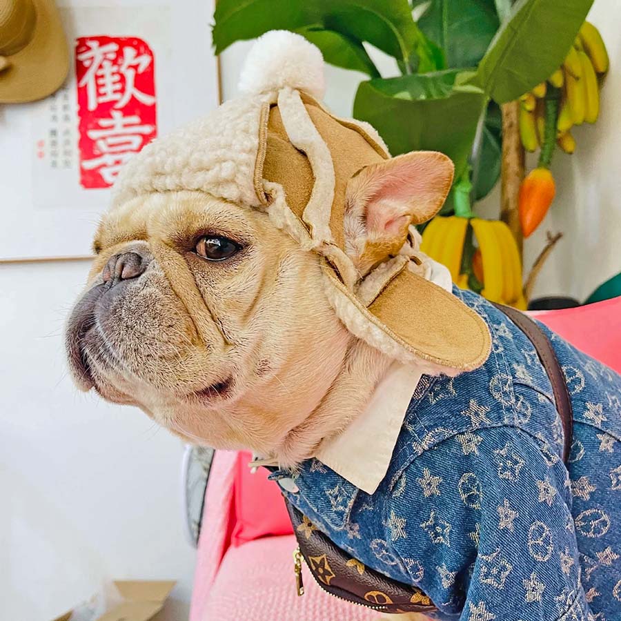 French Bulldog wearing an adorable Winter Dog Trapper Cap from online dog clothing store at they made me wear it.